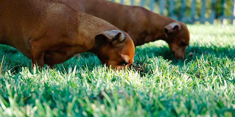 2023全球半导体行业趋势：人工智能驱动下的科技创新与供应链重塑