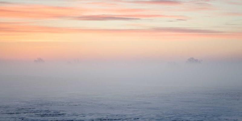 人工智能与生物科技融合：塑造未来的三大趋势与最佳实践