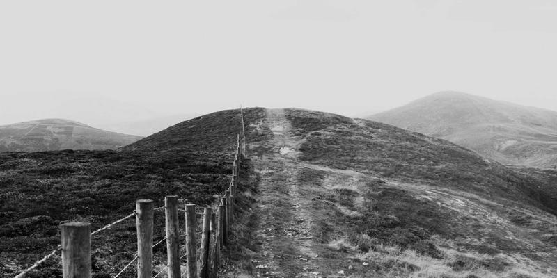 人工智能浪潮下的科技创新图景：2024年科技资讯深度观察