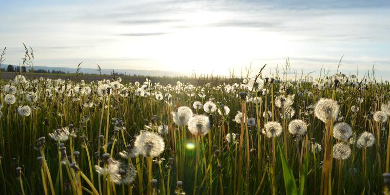 具身智能新突破：人形机器人从实验室走向工厂车间的挑战与机遇