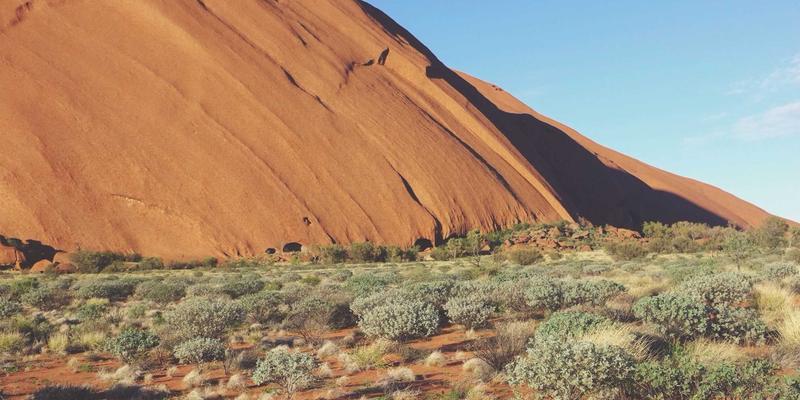 生物科技与量子计算交汇：塑造未来十年的科技新范式