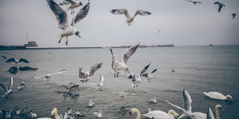 生物科技浪潮：解码未来趋势与科技资讯获取攻略
