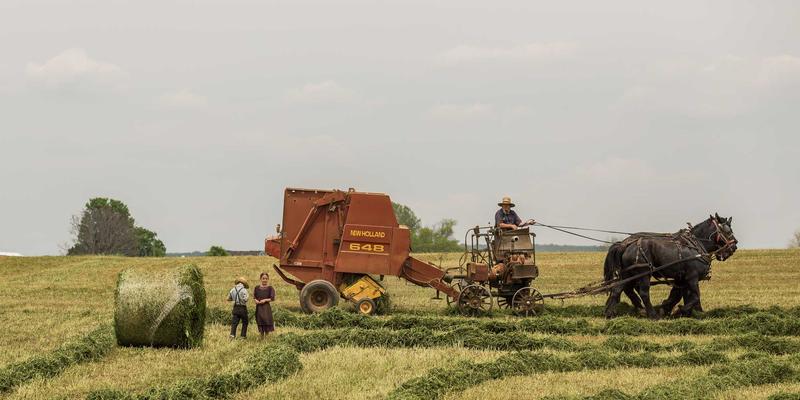 科技资讯45：人工智能与生物科技融合，定义未来十年趋势