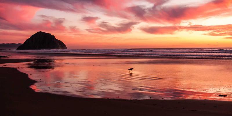 科技资讯72：生物科技、量子计算与太空探索如何重塑人类未来