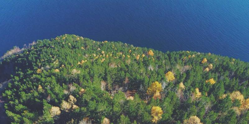 科技资讯是什么？解码AI、生物科技与太空探索的时代脉搏