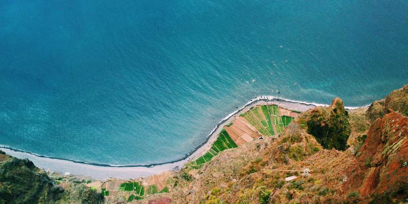 科技资讯进阶：解码太空探索与生物科技融合的未来趋势