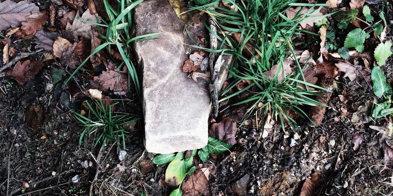 边缘计算：破解数据中心延迟与带宽瓶颈的未来趋势，赋能太空探索与生物科技