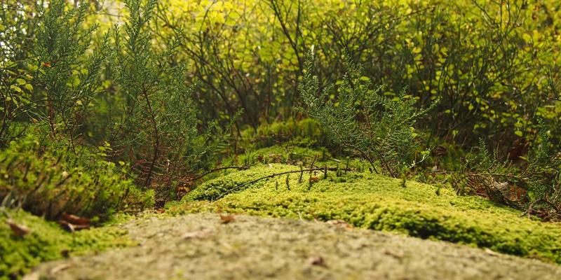 量子计算与Web3.0：去中心化社交如何重塑用户数据主权的未来趋势