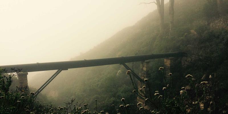 量子计算与人工智能:双轮驱动下的科技创新新纪元