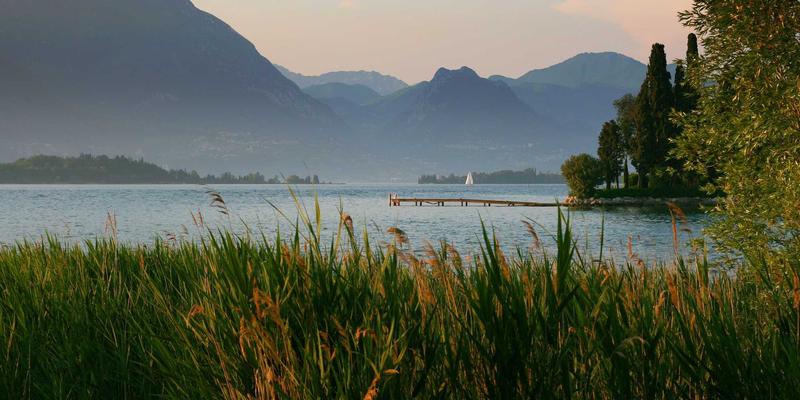 量子计算与人工智能融合：重塑未来的三大趋势与挑战