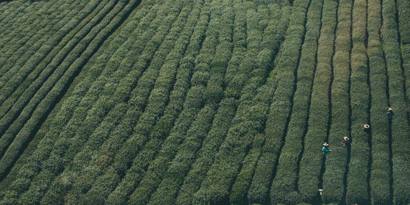 量子计算与生物科技融合：揭秘未来十年科技变革的核心趋势