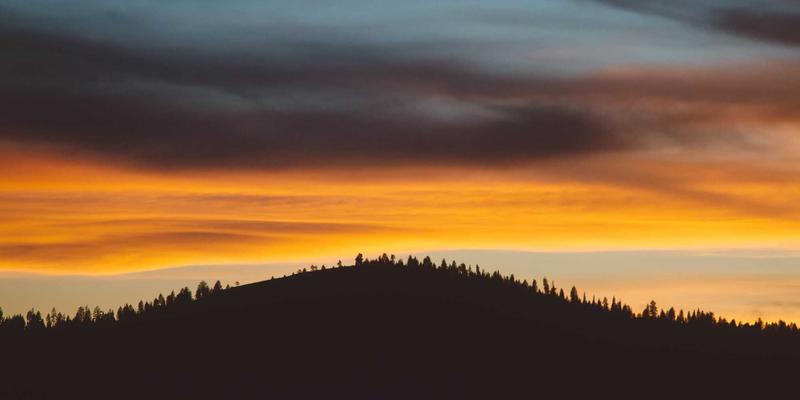 量子计算与生物科技融合：科技创新的下一个引爆点