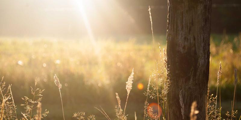 量子计算实用化突破：从实验室走向解决金融与物流优化难题