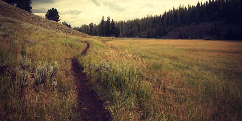 量子计算崛起：解码未来十年科技创新核心趋势